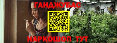 хмурый Камень-на-Оби
