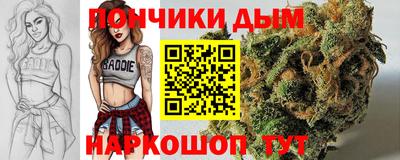 гидропоника Каменск-Шахтинский