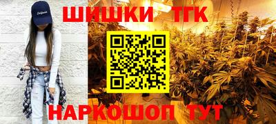хмурый Камень-на-Оби