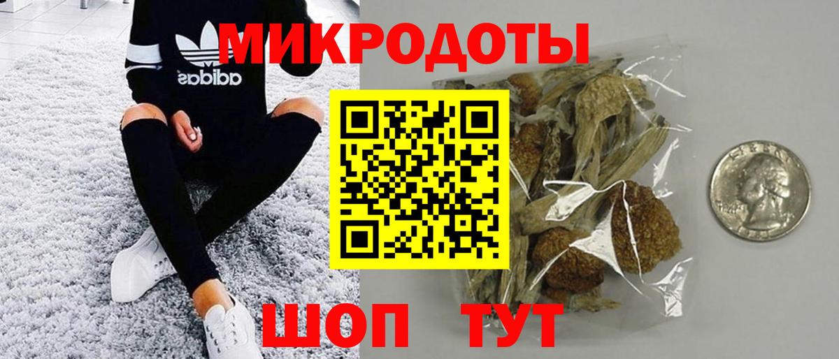 Миасс  Псилоцибиновые грибы Psilocybe  Вход с VPN  Псилоцибиновые грибы GOLDEN TEACHER 