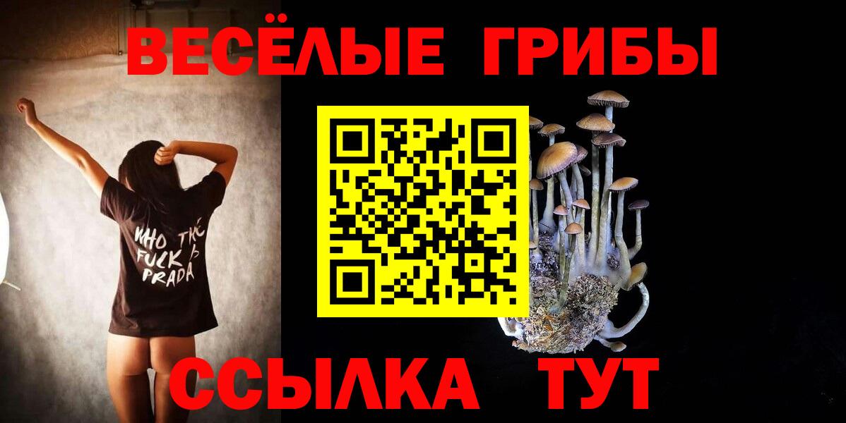 Галлюциногенные грибы Cubensis Миасс